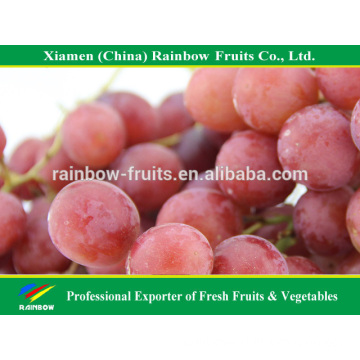 Fresh fruit of Yunnan Red Globe Grape with good taste grapes peru Seedless grapes